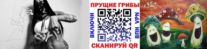 Галлюциногенные грибы MAGIC MUSHROOMS где найти наркотики Приморск
